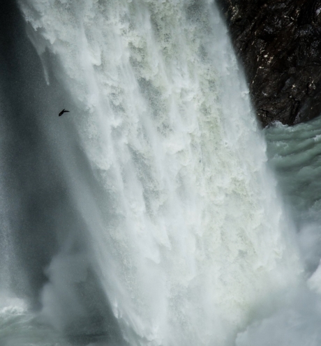 Salle de turbines - FMV
