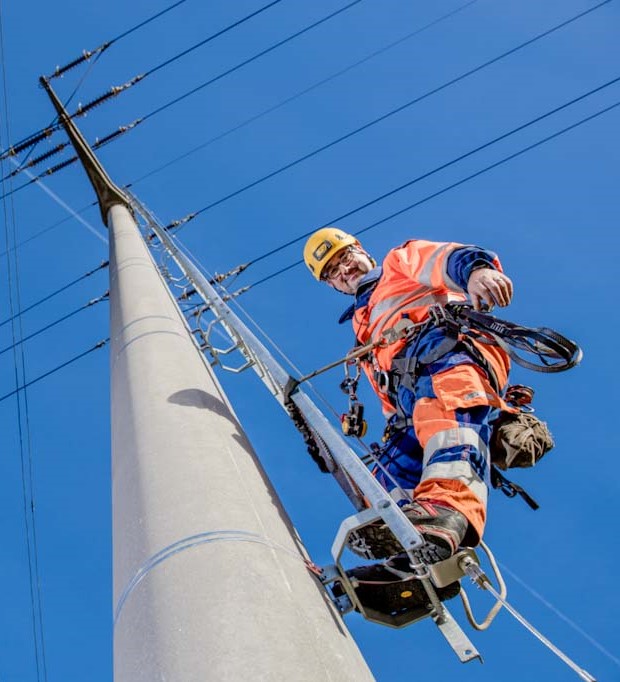 Electricien de réseaux - FMV