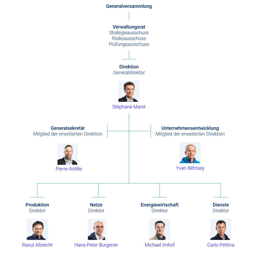 Organigramm FMV - 2025