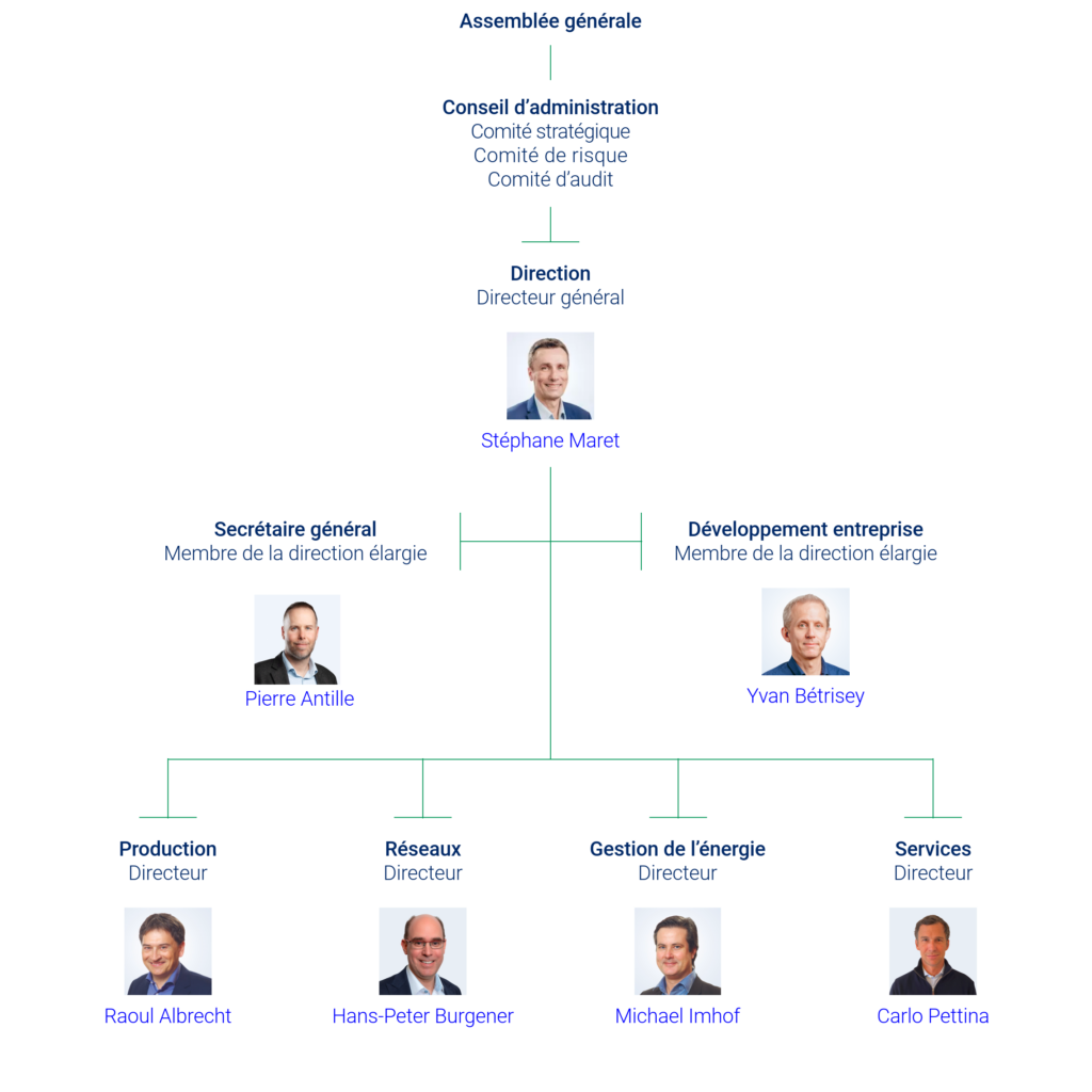 Organigramme FMV 2025
